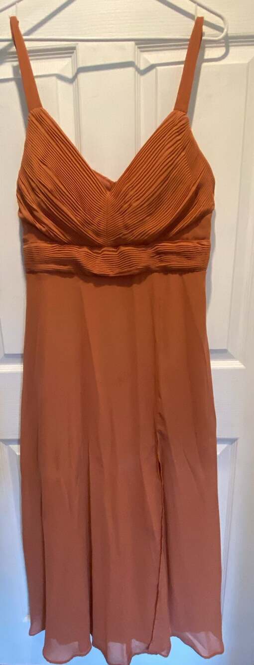 Evening Gown Birdy Grey Chiffon Dress Size L Rust